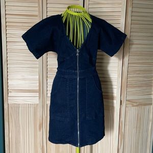 Express Denim Dress